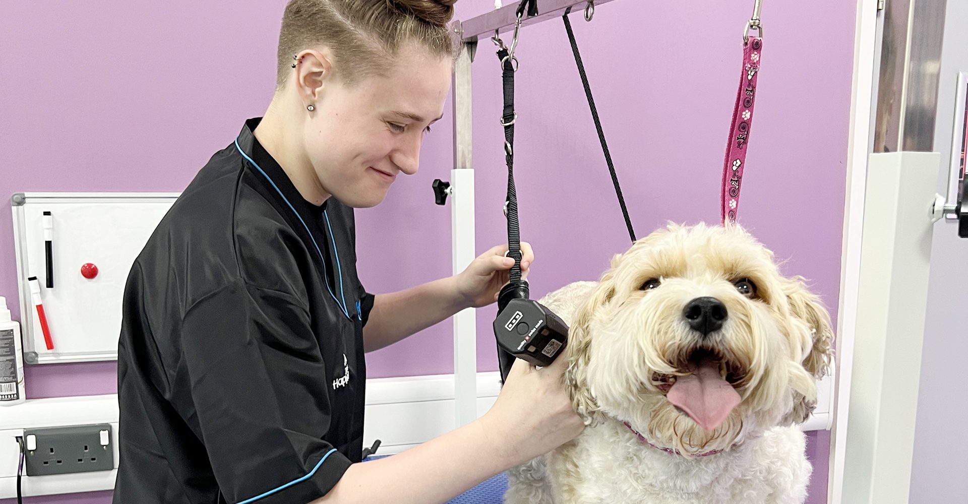 Student at Happy Paws @B63 Dog Grooming Salon